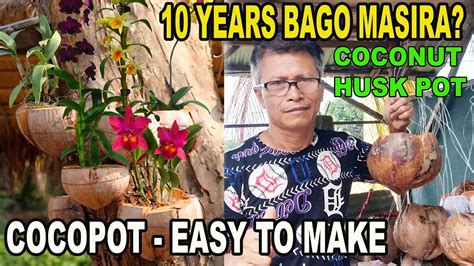 pots in tagalog|FLOWER POTS Meaning in Tagalog .